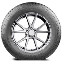 Antares Majoris R1 295/45R20 114W Image #3