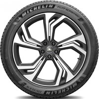 Michelin Pilot Alpin 5 SUV 255/45R21 106V Image #5