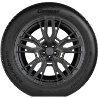 Gripmax SureGrip eWinter 225/45R17 94V Image #2