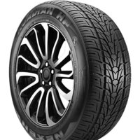 Nexen Rodian HP 295/35R24 110V