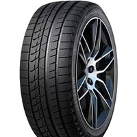 Tourador Winter Pro TSU2 205/55R16 91T Image #1