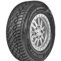 Delinte Winter WD42 215/60R17 96T
