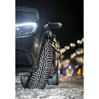 Nokian Tyres WR D4 215/60R16 99H Image #7