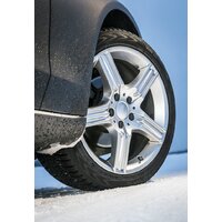 Nokian Tyres WR D4 215/60R16 99H Image #5