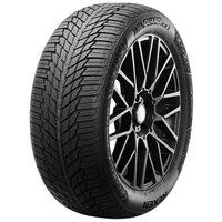 Nexen Winguard Ice 3 215/55R18 95T Image #1
