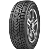 Delinte Winter WD1 215/55R17 94T