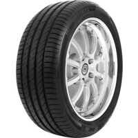 Delinte DS2 SUV-RFT 255/55R18 109V (run-flat)