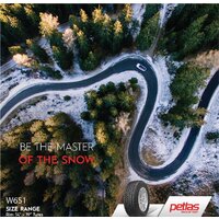 Petlas SnowMaster W651 255/40R19 100V Image #6