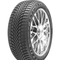 Maxxis Premitra Snow WP6 225/55R17 101V