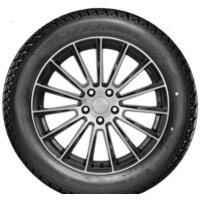 DoubleStar DW01 215/60R17 96T (шипы) Image #3