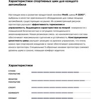 Pirelli P Zero SUV 255/50R19 107W Image #5