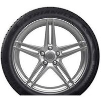 Triangle TW401 225/60R16 102V Image #2