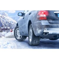 Continental ContiWinterContact TS 830 P 225/50R17 98V Image #5