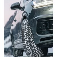 Nokian Tyres WR SUV 4 265/60R18 114H Image #4