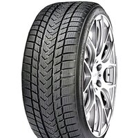 Gripmax Status Pro Winter 255/40R21 102V