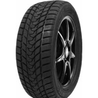Delinte Winter WD1 185/65R15 88H Image #1