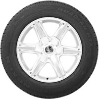 Nexen Roadian HTX RH5 225/60R18 100H Image #2