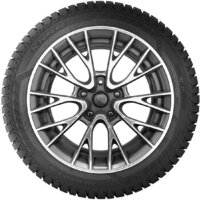 Torero MP30 205/70R16 97T (шипы) Image #3